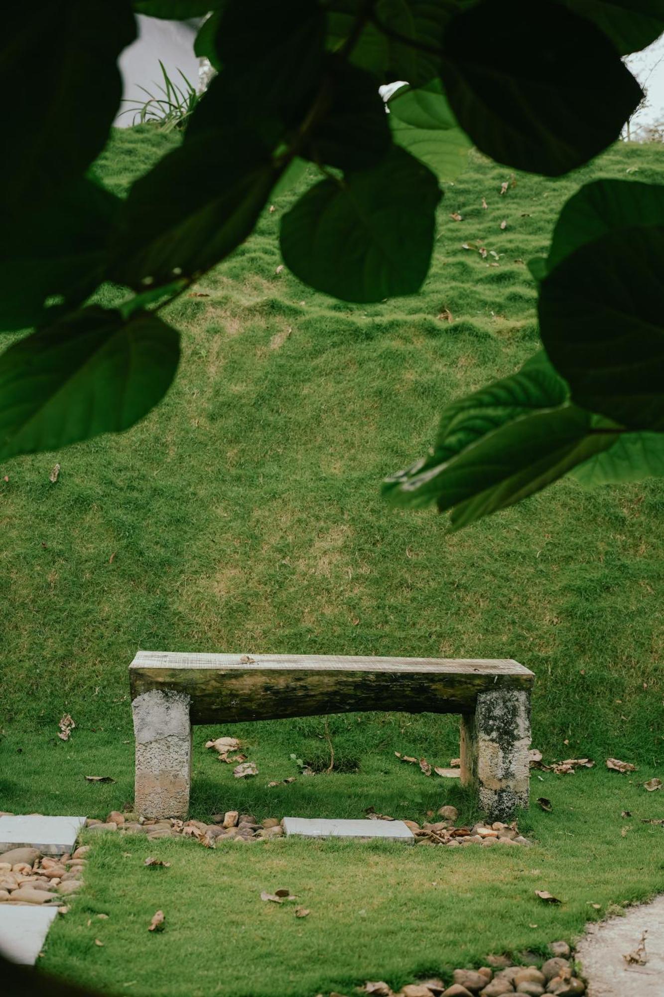 Haze Woods Resort Vaduvanchal 外观 照片