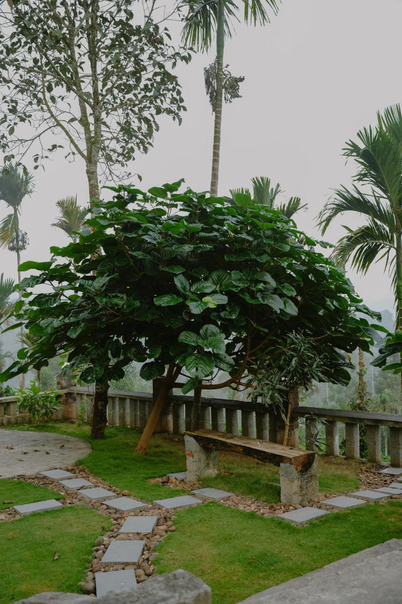 Haze Woods Resort Vaduvanchal 外观 照片